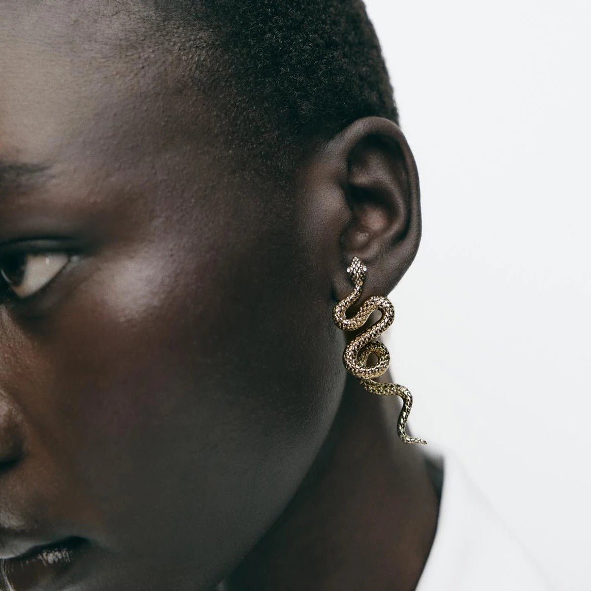 Snake Earrings